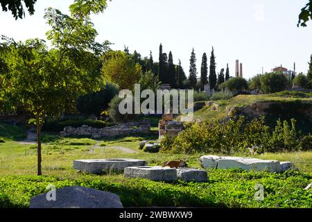 A cat standing on ancient stones, in the ancient cemetery of Keramikos, in Athens, Greece Stock Photo