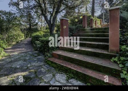 Exterior construction stairs with steps covered in green moss in the middle of a farm with lots of vegetation next to a stone walk Stock Photo