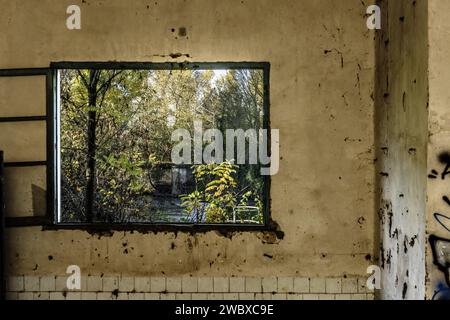 Interior of an abandoned and half-ruined building with dilapidated wooden windows overlooking a stream and lots of vegetation Stock Photo