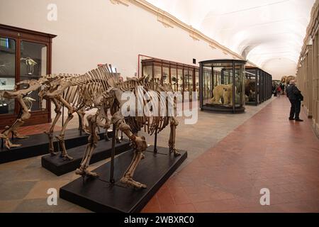 Italy Piedmont Turin The Regional Museum of Natural Sciences - Credit: Realy Easy Star/Alamy Live News Stock Photo