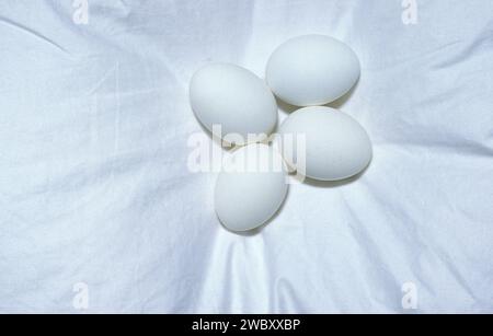 four white chicken eggs on white pillar as background like a hen´s nest Stock Photo