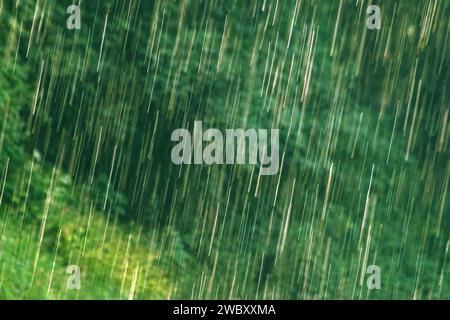 many bright raindrops of a rain shower against green background, motion blur Stock Photo
