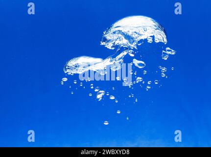 closeup, macro of white air bubbles in an aquarium, blue background Stock Photo