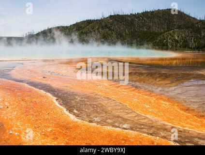 Steam rising from various geysers in the Upper Geyser Basin in Yellowstone National Park, USA Stock Photo