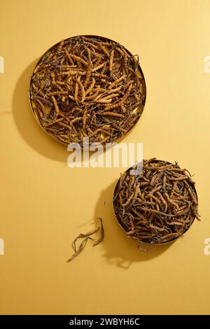 Golden dish containing Dried Cordyceps Sinensis decorated on beige background. Cordyceps has beneficial effects on the human body Stock Photo