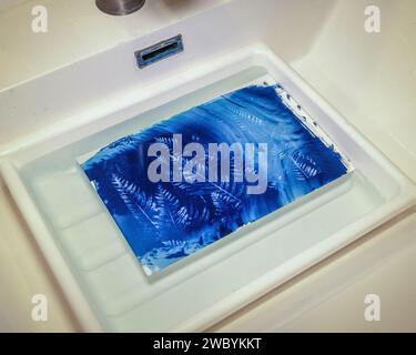 Washing exposed Cyanotype paper in water Stock Photo - Alamy