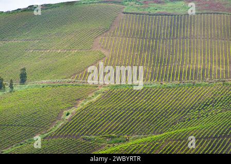 Agricultural Fields in Trapani Region - Sicily - Italy Stock Photo