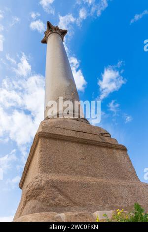 Giant ancient Pompey's pillar on territory of Serapeum of Alexandria in Egypt Stock Photo