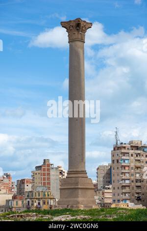 Giant ancient Pompey's pillar on territory of Serapeum of Alexandria in Egypt against multi-storey residential buildings Stock Photo