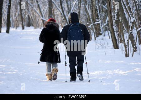 Nordic walking at cold weather, healthy lifestyle. Couple with sticks walks in winter park on snow covered trees background Stock Photo