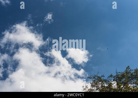 The blue sky filled with fluffy white clouds Stock Photo
