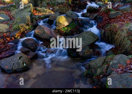 On a cold winter morning in Padley Gorge the clear water of Burbage Brook flows swiftly between and over gritstone rocks. Stock Photo