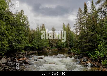 rivière au milieu des arbres Stock Photo