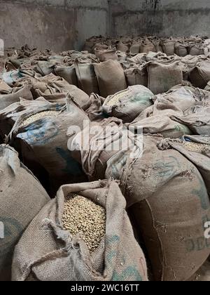 stock of green coffee beans in large canvas bags stored in a warehouse in the Sidama region of Ethiopia waiting to be sold Stock Photo