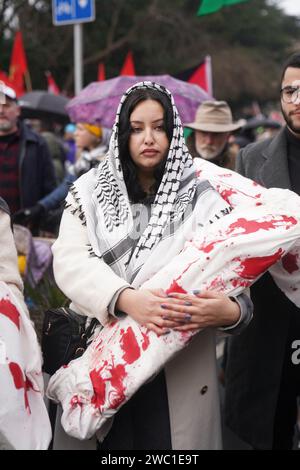 Protesters from the Ireland-Palestine Solidarity Campaign demonstrate ...