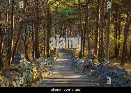 Sangju City, South Korea - November 18th, 2023: As dusk approaches, the winding hiking path leading down from Gyeongcheondae Observatory is bathed in Stock Photo