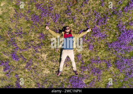 bearded man lies on the field in violets top-down view Stock Photo