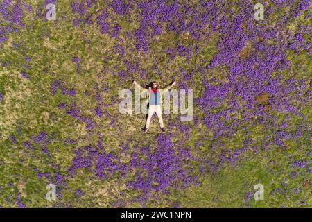 bearded man lies on the field in violets top-down view Stock Photo