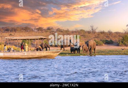Chobe National Park, Botswana : Tourists in a boat observe elephants along the riverside of Chobe River in Chobe National Park, Botswana. Stock Photo