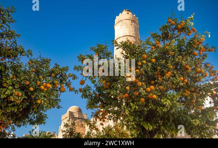 Laden orange trees in front of the imposing walls, ramparts and tower of the 8th century religious fortress, the Ribat of Sousse in Tunisia. It is a U Stock Photo