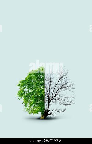 The concept image of ecology. Half alive and half dead tree. Environment concept. Global warming Stock Photo