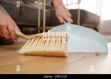 Close up image of woman's hands cleaning apartment with small broom and dustpan Stock Photo