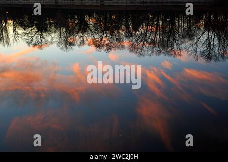 Sunset cirrus orange clouds and trees black silhouettes reflected on water surface Stock Photo