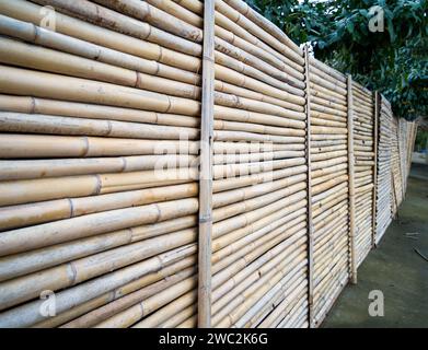 Fence made from bamboo picket fence Stock Photo