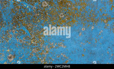 Old paint texture covered with gray mold. Mold and peeling paint on wall Stock Photo
