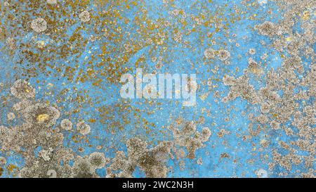 Blue metal surface covered with gray and yellow mold.. Stock Photo