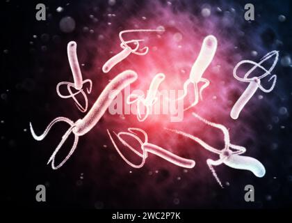 Helicobacter pylori is a gram-negative, flagellated, helical bacterium. It is capable of colonizing the stomach mucosa. 3d rendering Stock Photo