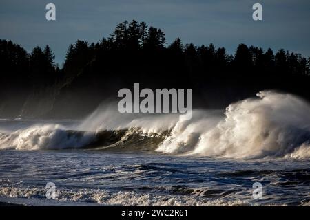 WA24688-00....WASHINGTON - The Pacific Ocean waves and James Island from Rialto Beach in Olympic National Park. Stock Photo