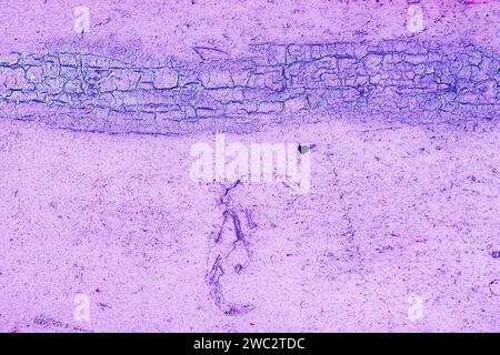 Wall surface with peeling magenta paint. Rusty iron surface Stock Photo