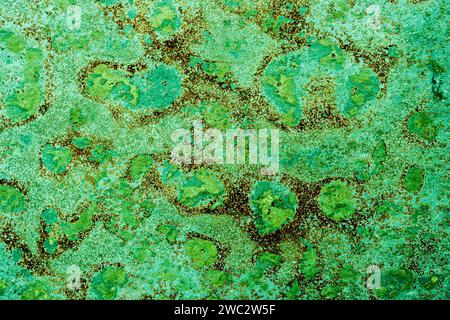 Stone textured background. Green old rusty shabby metall wall with red brown spots Stock Photo