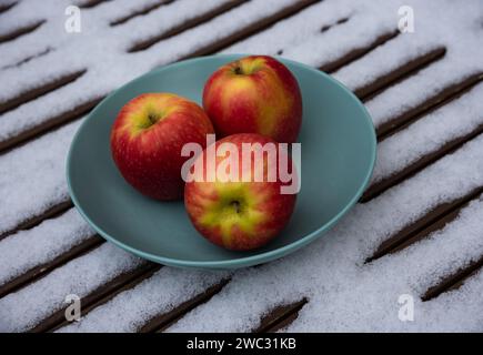 Three organic pink lady apples in bowl on snow covered table in garden. Healthy eating lifestyle background. Stock Photo