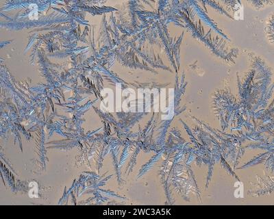 Ice crystals on window pane, Berlin, Germany Stock Photo
