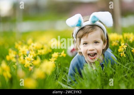 Cute toddler boy wearing bunny ears having fun between rows of beautiful yellow daffodils blossoming on spring day. Celebrating Easter outdoors. Egg h Stock Photo