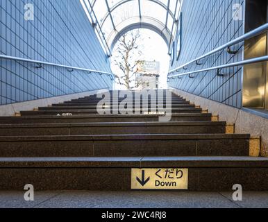 Tokyo Japan January 2024 Exterior View Of The Hashimoto Yakusi Do   Tokyo Japan January 2024 The Steps Of The Staircase At The Entrance Of A Subway Station In The City Center 2wc4rj8 