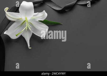 Beautiful lily flower with funeral ribbon on black background Stock Photo