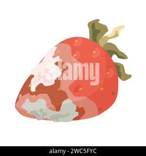 Spoiled strawberry fruit. Rotten food product, organic food waste cartoon vector illustration Stock Vector