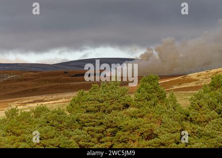 Managed Heather burning to clear old Heather vegetation taking place around the hill of Rowan near Tarfside in the Angus Glens. Stock Photo