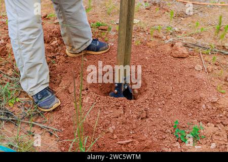 In process of digging fence post, man uses hand post hole digger Stock Photo