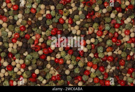 Background of mixed peppercorns, black, green, white and pink, natural spice condiment pattern texture, elevated top view, directly above Stock Photo