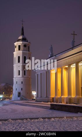Cathedral Basilica of St. Stanislaus and St. Ladislaus in Vilnius. Lithuania Stock Photo