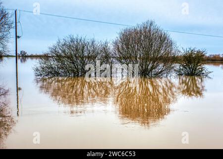 Flood plain between the Old Bedford River and the Hundred Foot Drain, Sutton Gault, Sutton-in-the-Isle, near Ely, Cambridgeshire, UK Stock Photo