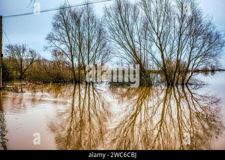 Tree reflections. Flood plain between the Old Bedford River and the Hundred Foot Drain, Sutton Gault, Sutton-in-the-Isle, near Ely, Cambridgeshire, UK Stock Photo