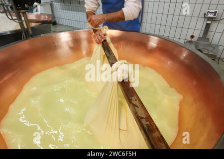 Modena, Emilia Romagna, Italy, January 2024, phases of the processing of Parmigiano Reggiano cheese, a typical dairy product famous Stock Photo