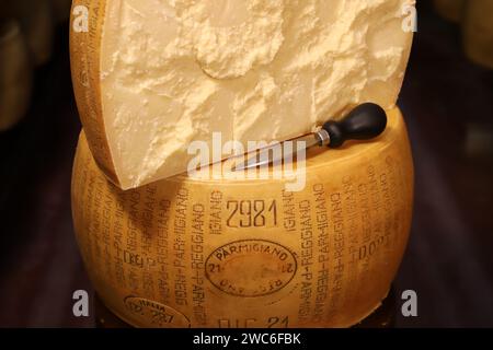 Modena, Emilia Romagna, Italy, January 2024, phases of the processing of Parmigiano Reggiano cheese, a typical dairy product famous Stock Photo