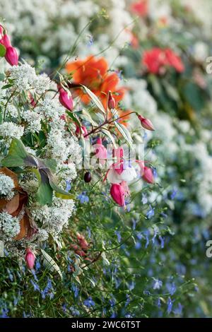 Multicolored wildflowers close up, blurred background, selective focus. Vertical photo. Stock Photo