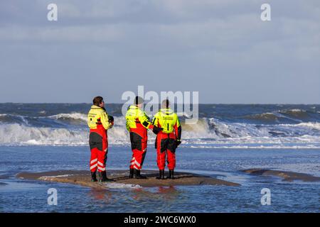 lifeguards in survival suits at the New Year's swimming in Domburg on Walcheren, Zeeland, Netherlands. ###EDITORIAL USE ONLY###  Rettungsschwimmer in Stock Photo